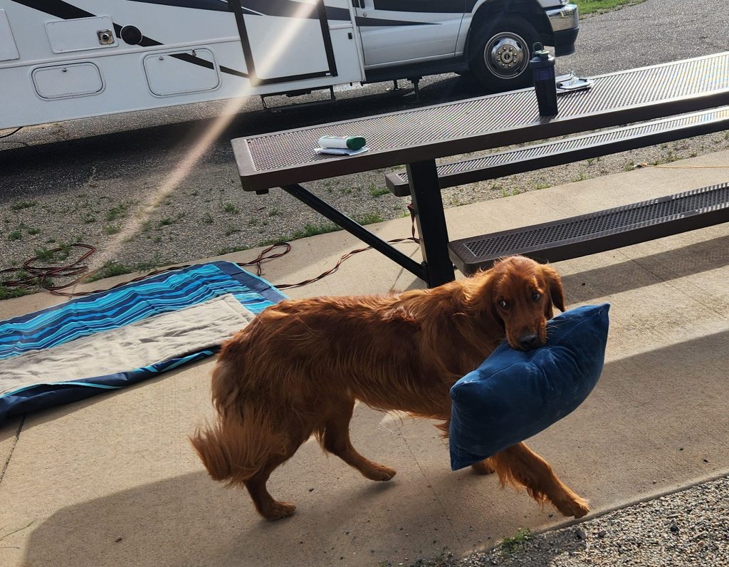 457060268_10234825822852365_7843522340994703455_n